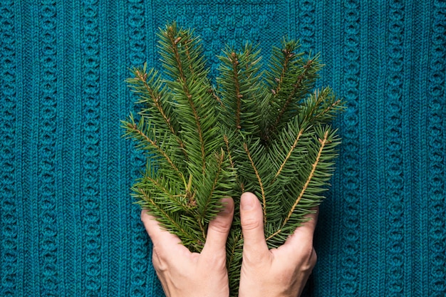 Manos femeninas sostienen ramas de abeto. Concepto de navidad.