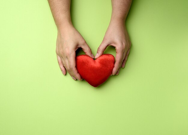 Manos femeninas tiene corazón textil rojo sobre verde