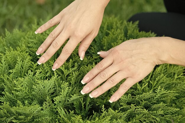 Manos femeninas con uñas perfectamente arregladas en manicura de fondo de follaje perenne natural