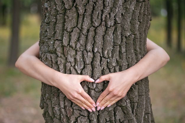 Manos en forma de corazón en un árbol