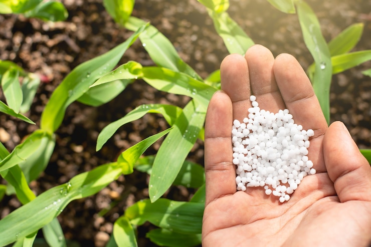 Foto las manos del granjero están recogiendo fertilizantes químicos.