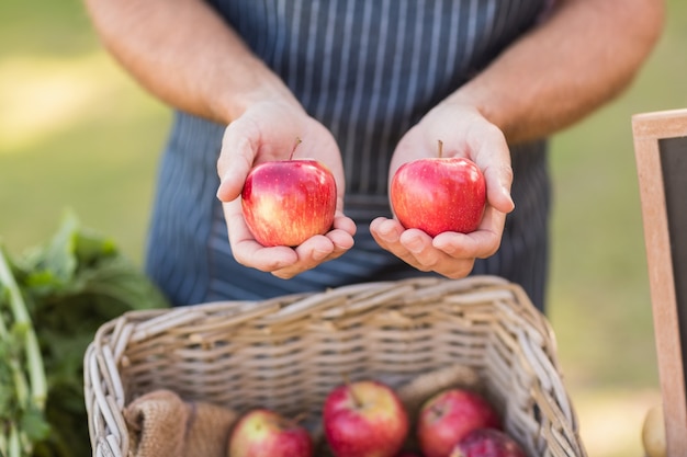 Manos del granjero mostrando dos manzanas rojas