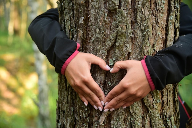 Manos haciendo forma de corazón en el tronco de un árbol Manos femeninas haciendo forma de corazón en el tronco