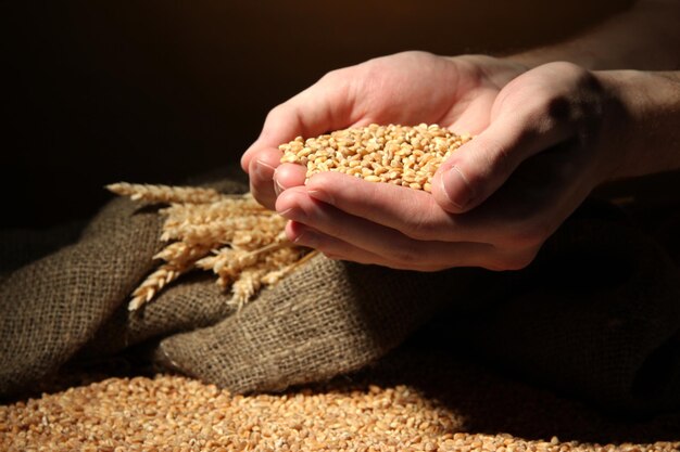 Manos de hombre con grano sobre fondo marrón