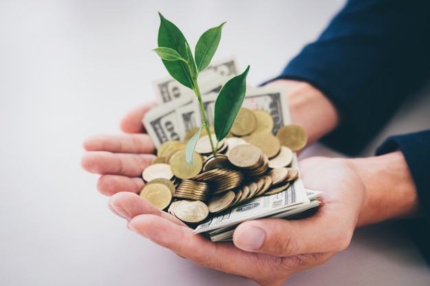 Manos del hombre de negocios con brotación de la planta que crece de un puñado de monedas de oro