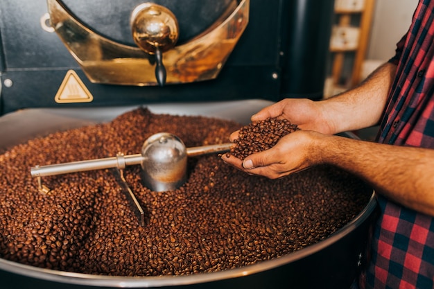 Las manos del hombre que sostienen los granos de café aromáticos recién tostados sobre una moderna máquina tostadora de café.