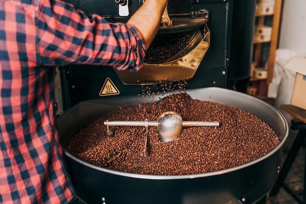 Las manos del hombre que sostienen los granos de café aromáticos recién tostados sobre una moderna máquina tostadora de café.