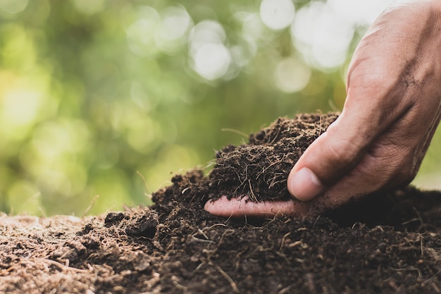 Las manos de los hombres están recogiendo tierra para plantar árboles.