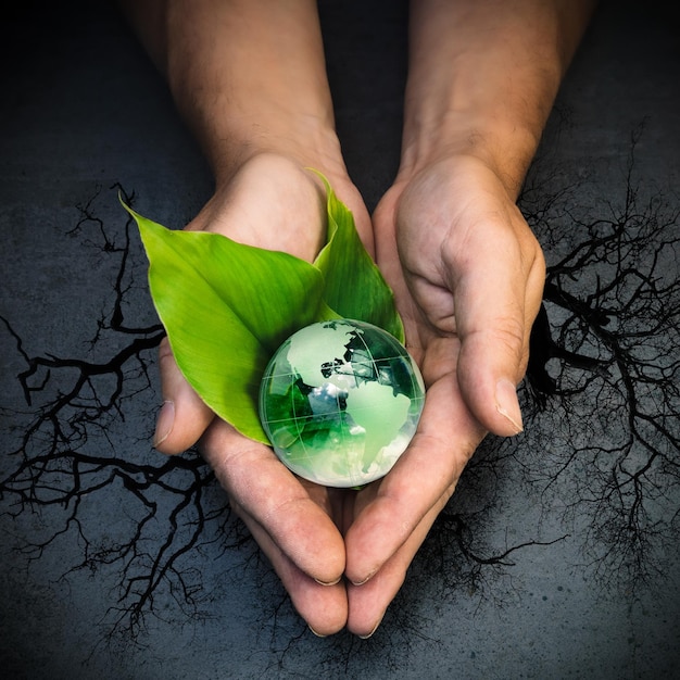 Manos humanas sosteniendo un globo verde del planeta Tierra sobre hojas verdes sobre un árbol y un fondo gris