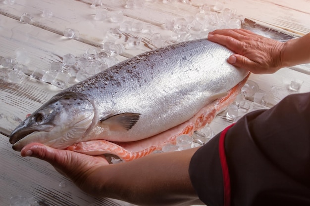 Manos masculinas tocan pescado crudo pescado fresco sobre fondo de madera ingrediente clave para rollos de sushi chef guaran ...