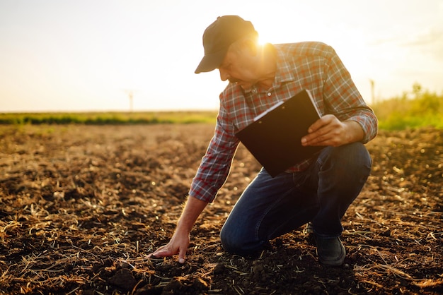 Manos masculinas tocando el suelo en el campo Manos expertas del agricultor comprobando la salud del suelo Concepto ecológico