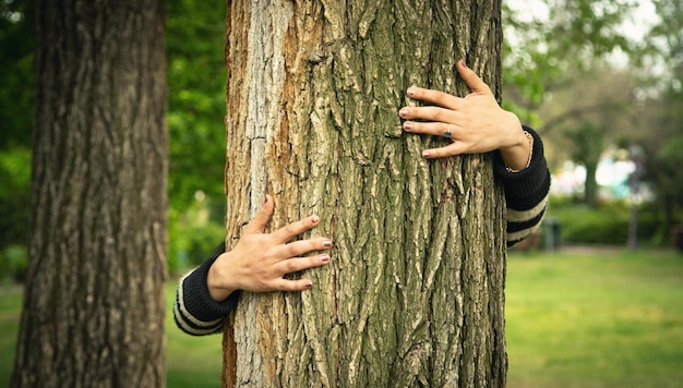 Manos de mujer abrazando tronco de árbol en el bosque Proteger el árbol para la conservación del medio ambiente