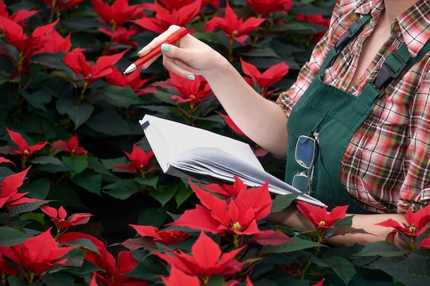 Manos de una mujer agrónoma registrando el desarrollo de la flor de pascua en el vivero de plantas en un cuaderno de papel