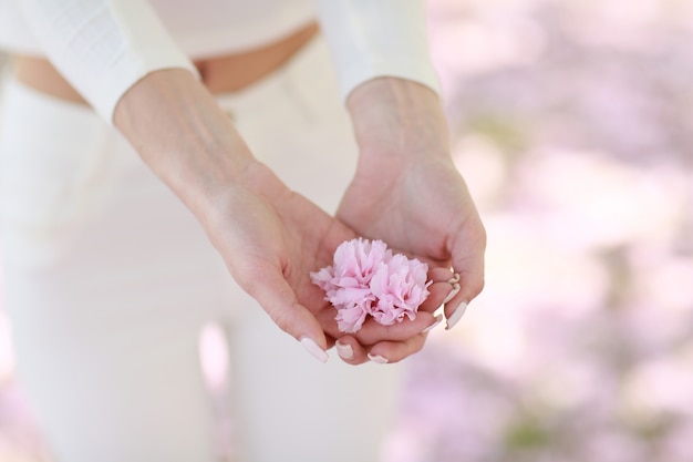Las manos de la mujer de cerca. La mujer sostiene los pétalos de flores rosas en sus manos.