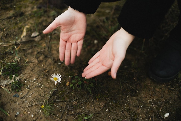 Manos de mujer chica apuntando a una flor