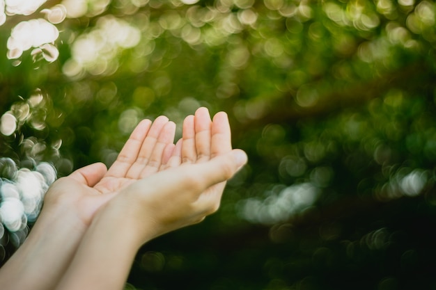 Las manos de la mujer colocan juntas como rezar delante del fondo verde de la naturaleza.