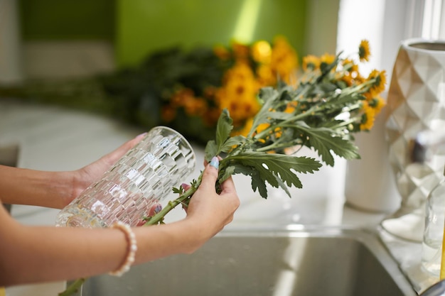 Manos de mujer comprobando si debe cortar flores al poner en jarrón de vidrio