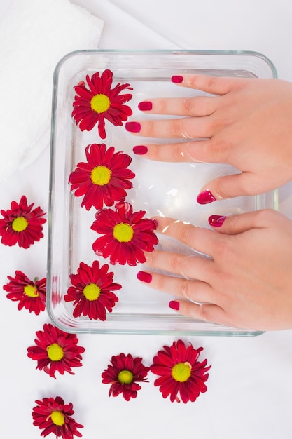 Foto manos de mujer después de una manicura y polaco