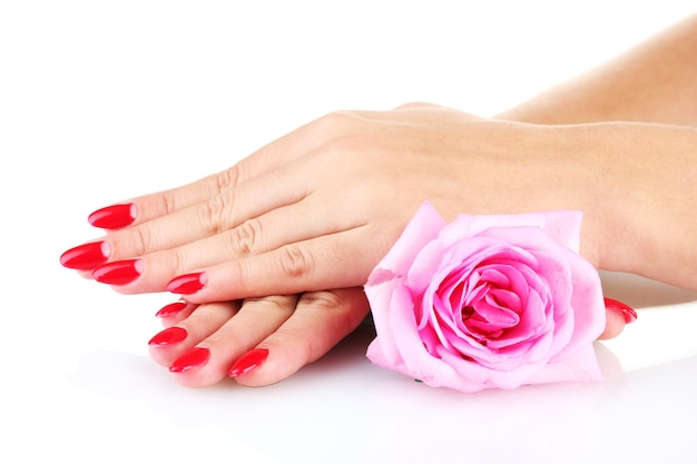 manos de mujer con flores aisladas en blanco