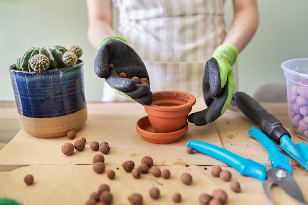 Manos de mujer en guantes plantar cactus jóvenes en maceta. Pasatiempos, ocio, plantas de interior, jardinería doméstica, concepto de amigos en macetas