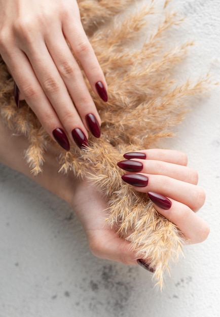 Manos de una mujer joven con manicura de color rojo oscuro en las uñas