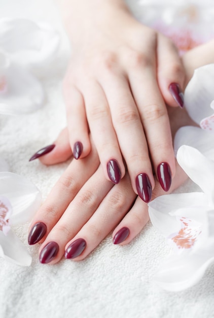 Manos de una mujer joven con manicura de color rojo oscuro en las uñas