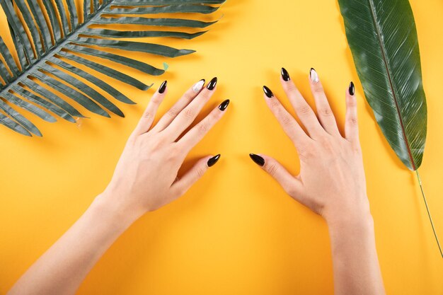 Foto manos de una mujer joven en la mesa con hojas sobre un fondo naranja