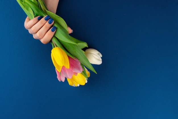 Manos de mujer con manicura con coloridos tulipanes sobre fondo azul