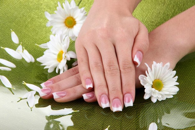 Manos de mujer con manicura francesa y flores sobre fondo verde