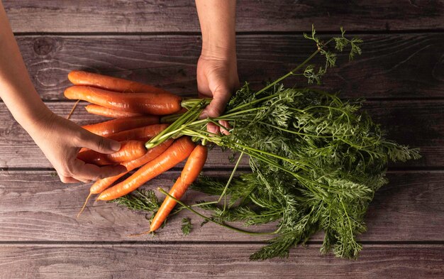 Foto las manos de la mujer manipulando un manojo de zanahorias frescas