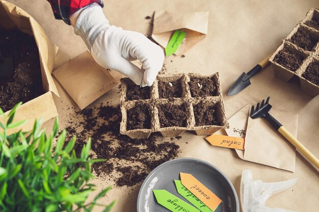 Manos de mujer plantan semillas en casa Hobbies de jardinería y vida agraria durante el encierro El concepto de economía ecológica y vegetal Día de la Tierra