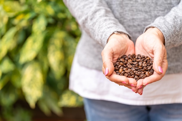 Manos de mujer sosteniendo algunos granos de café junto a algunas plantas