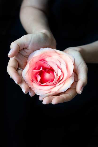 Manos de mujer sosteniendo flor rosa sobre fondo negro