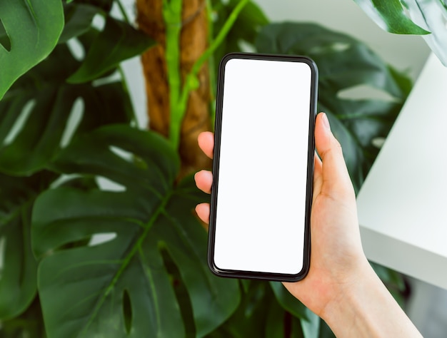 Manos de mujer usando un teléfono inteligente en el interior