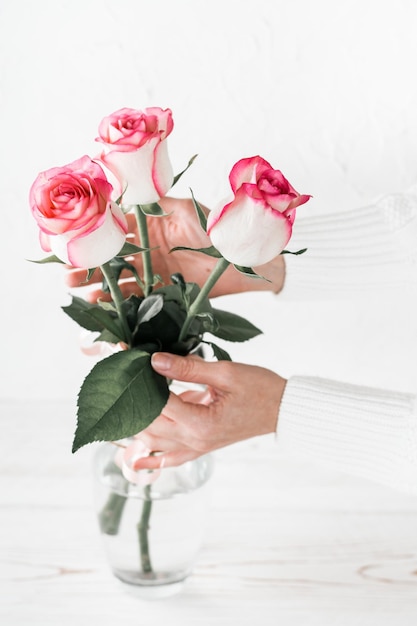 Las manos de las mujeres enderezan un ramo de rosas frescas en un jarrón sobre un fondo claro