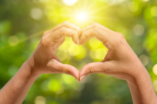 Las manos de mujeres y hombres tienen forma de corazón con la luz del sol que pasa a través de las manos.