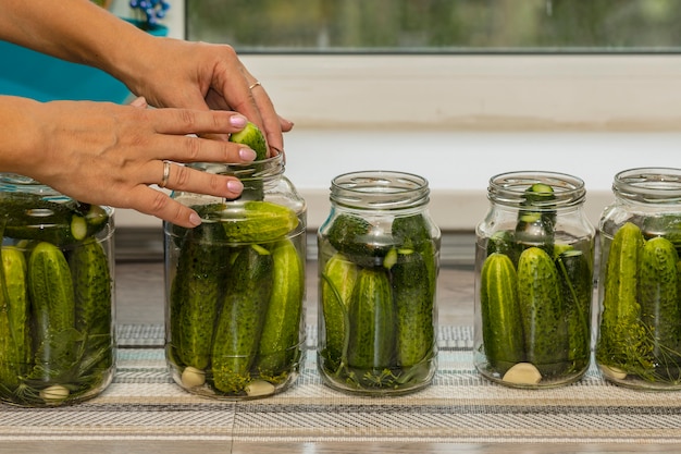 Manos de mujeres durante la preparación de pepinos enlatados en frascos de vidrio.