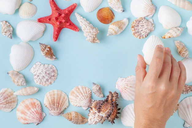 Las manos de las mujeres sostienen una concha marina sobre un fondo azul de verano con diferentes conchas y estrellas de mar