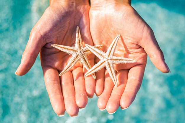 Las manos de las mujeres sostienen dos estrellas de mar contra el fondo del mar. Vista superior, endecha plana.