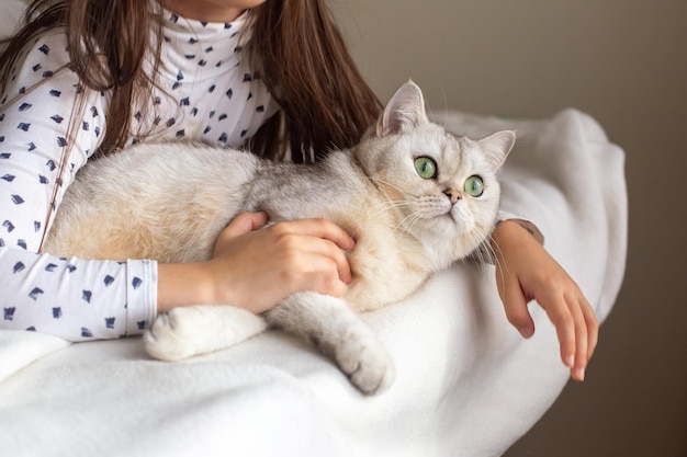 Manos de una niña abrazando a un gato blanco acostado en una cama blanca