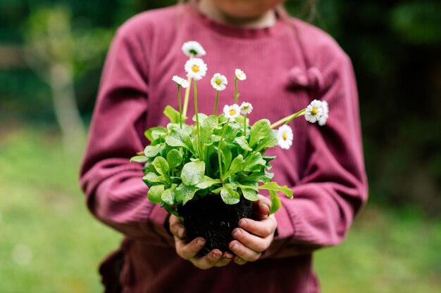 Las manos de una niña sosteniendo una planta lista para ser trasplantada a una maceta.