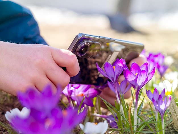 Manos de un niño fotografiando flores