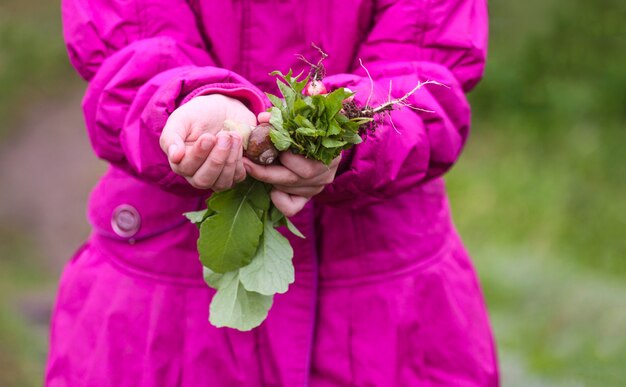 Manos del niño con hojas verdes y caracol.