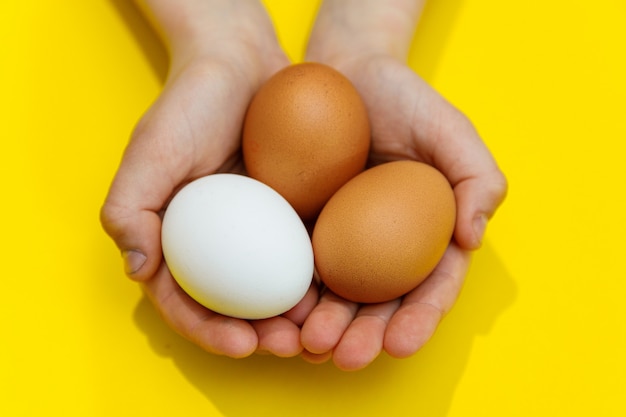 Manos del niño con huevos de gallina