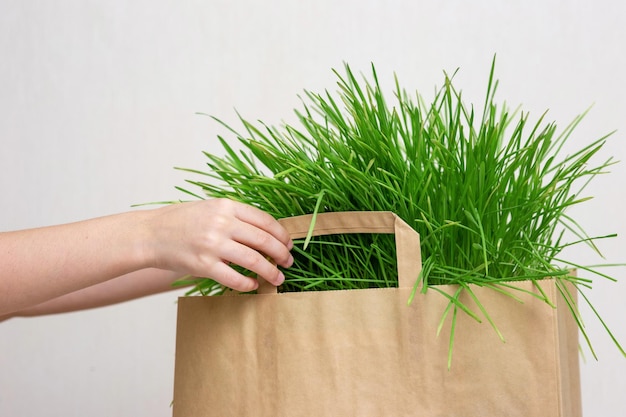 Manos de un niño pequeño sosteniendo una bolsa de papel de hierba verde