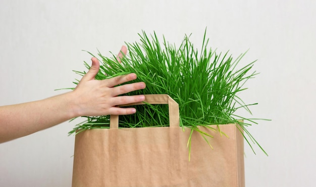 Manos de niño sosteniendo una bolsa de papel de hierba verde