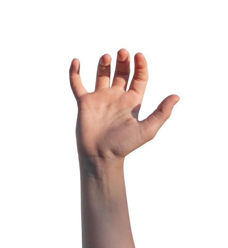 Foto las manos de los niños, los dedos de la palma, el gesto del brazo, la toma, el agarre, el agarrar, el signo de captura aislado en blanco.