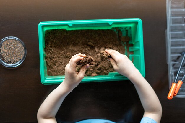 Foto las manos de los niños hacen tierra para las plántulas