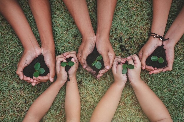 Las manos de los niños sostienen retoños verdes que se preparan para plantar en el suelo para reducir el calentamiento global