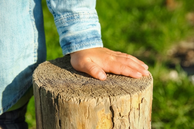 Las manos de los niños sostienen un tocón en el parque en la naturaleza.